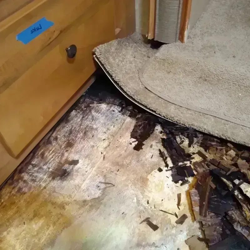 Best Wood Floor Water Damage Service in Shiloh, IL